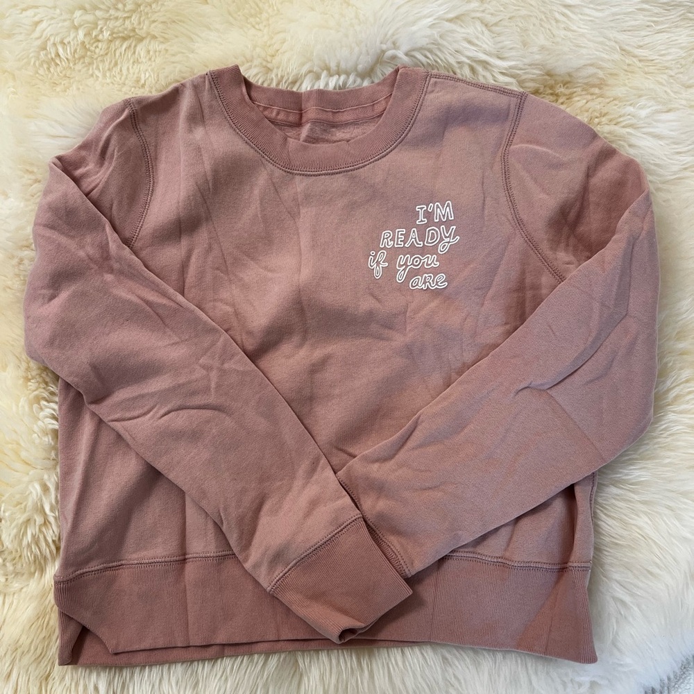 Abercrombie & Fitch Pink Sweatshirt